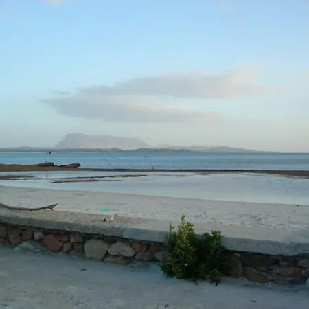 Sandalyon